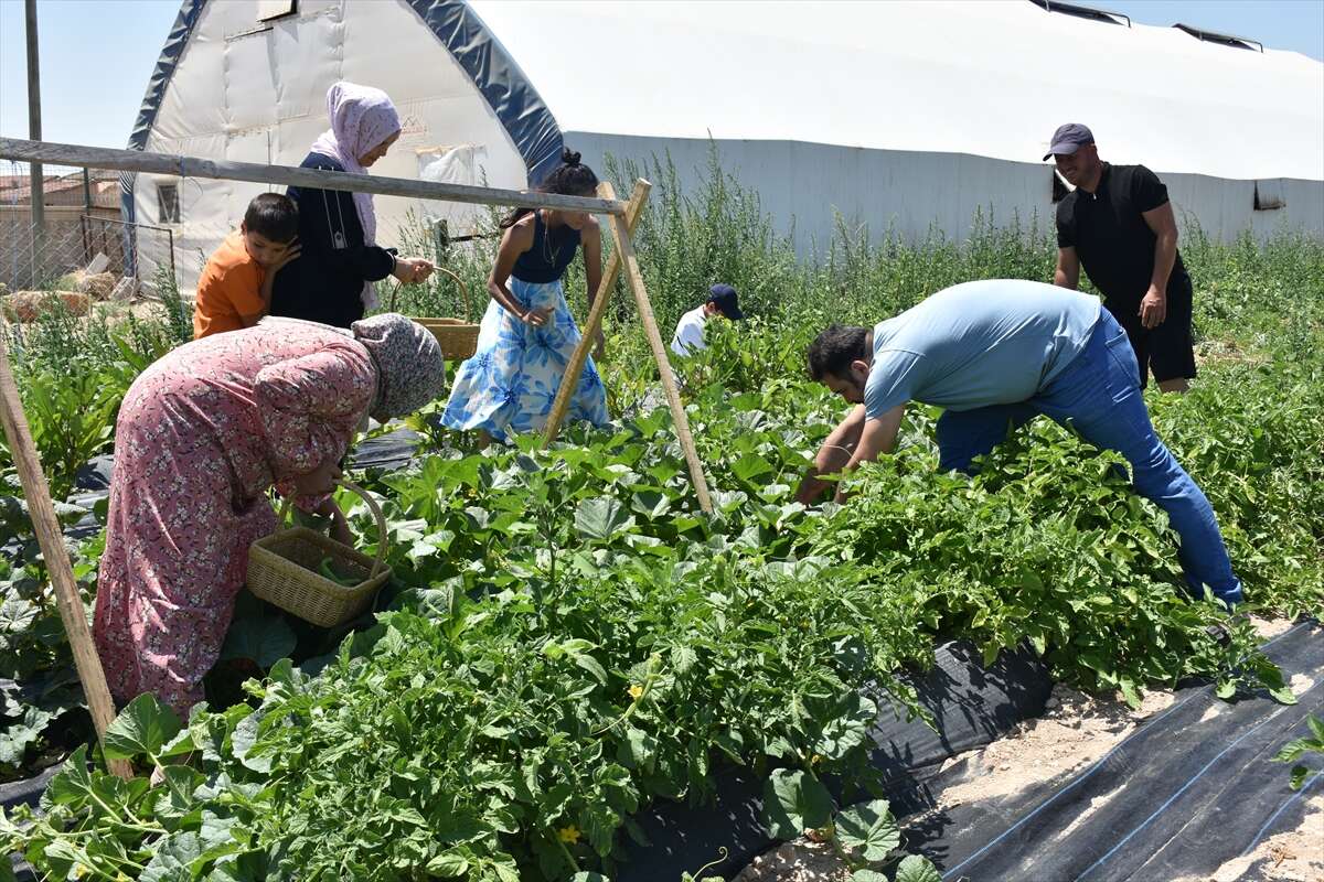Konya'daki bu otel sosyal medyanın gündeminde! Her şey ücretsiz, tek şart var 8